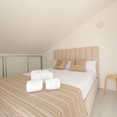 Sun House - Local - * Ponte de Lima